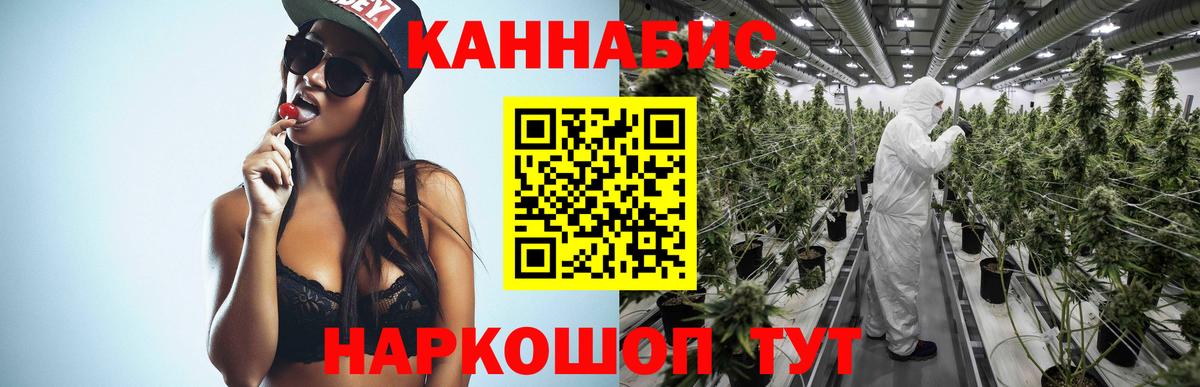 Конопля сатива Петропавловск-Камчатский